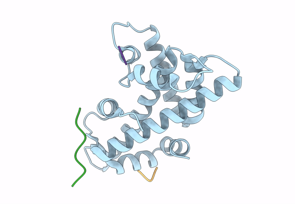 7WLP image