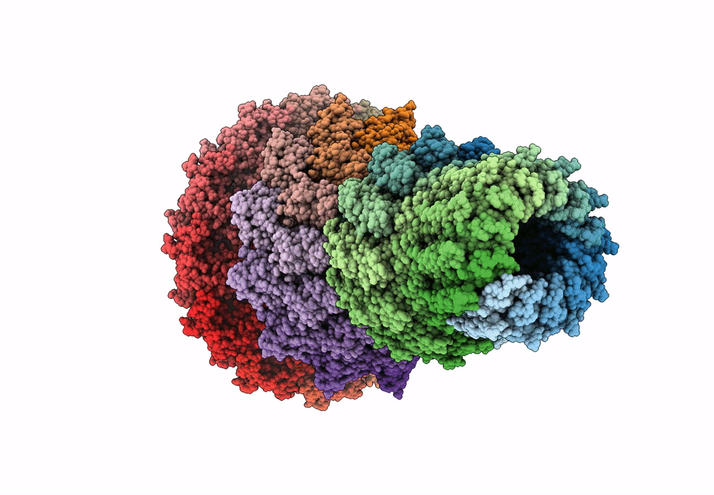 7WMP image