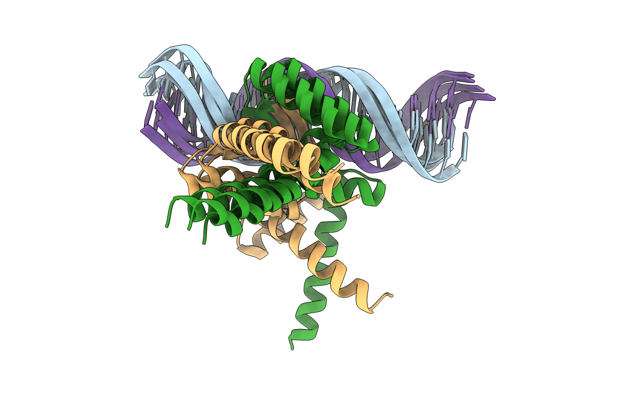 7WNR image