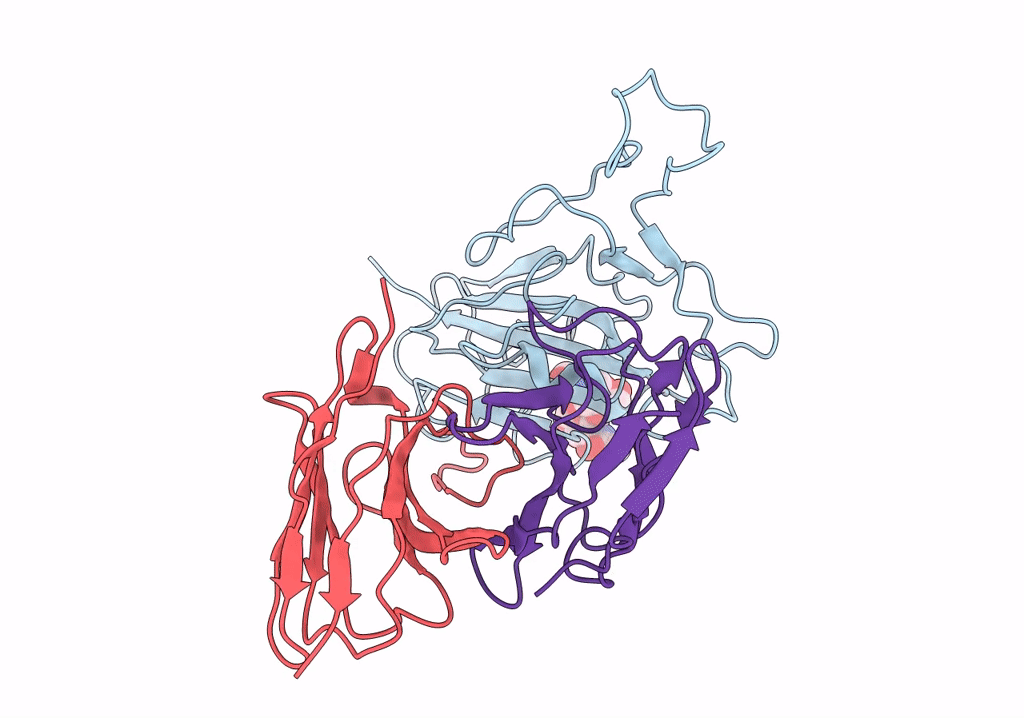 7WP2 image