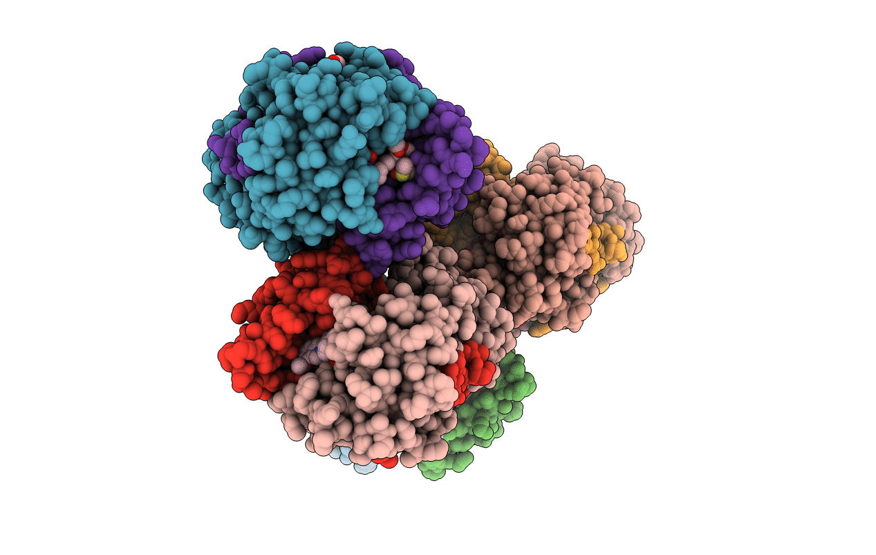 7X32 image