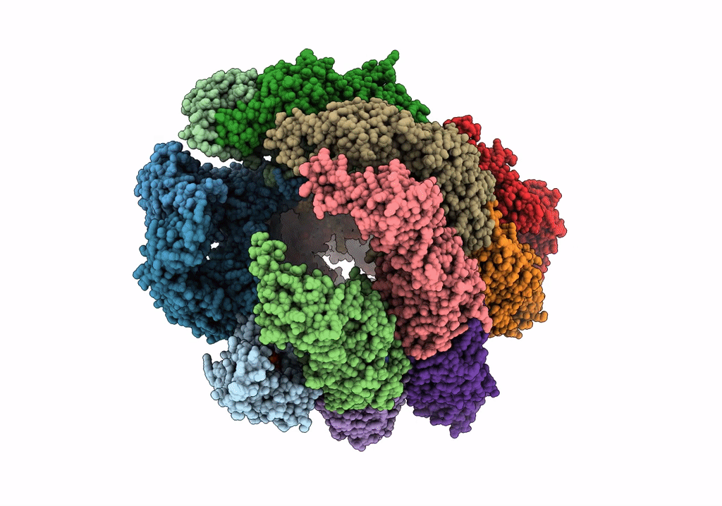 7X3U image
