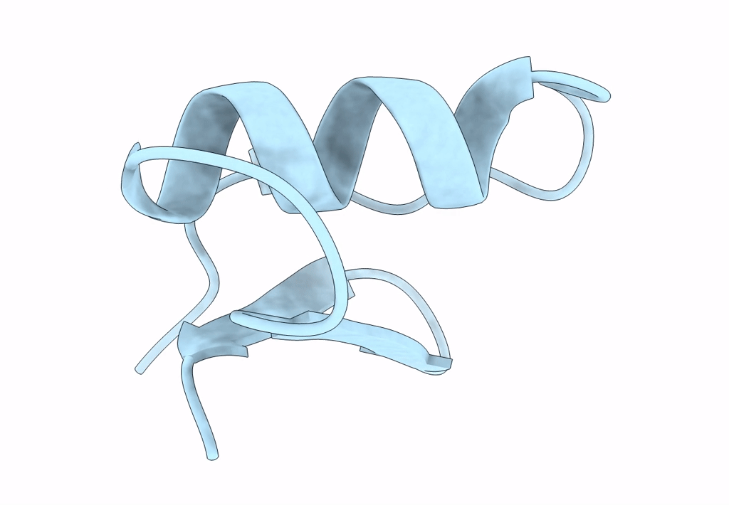 7X43 image