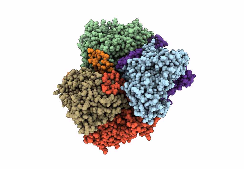 7X4L image