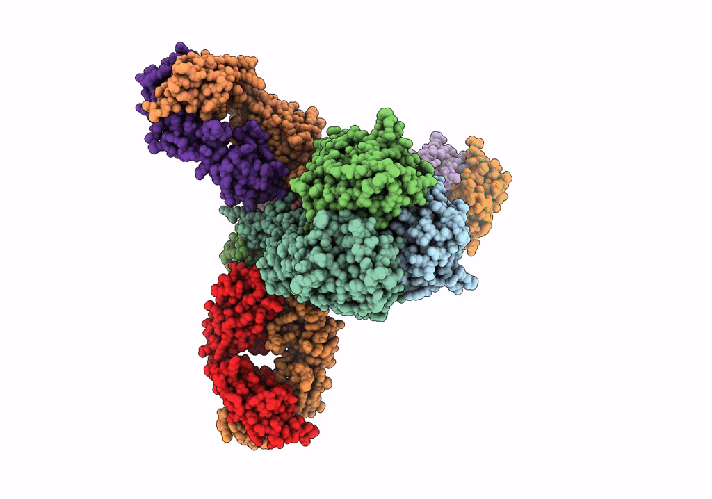 7X6L image