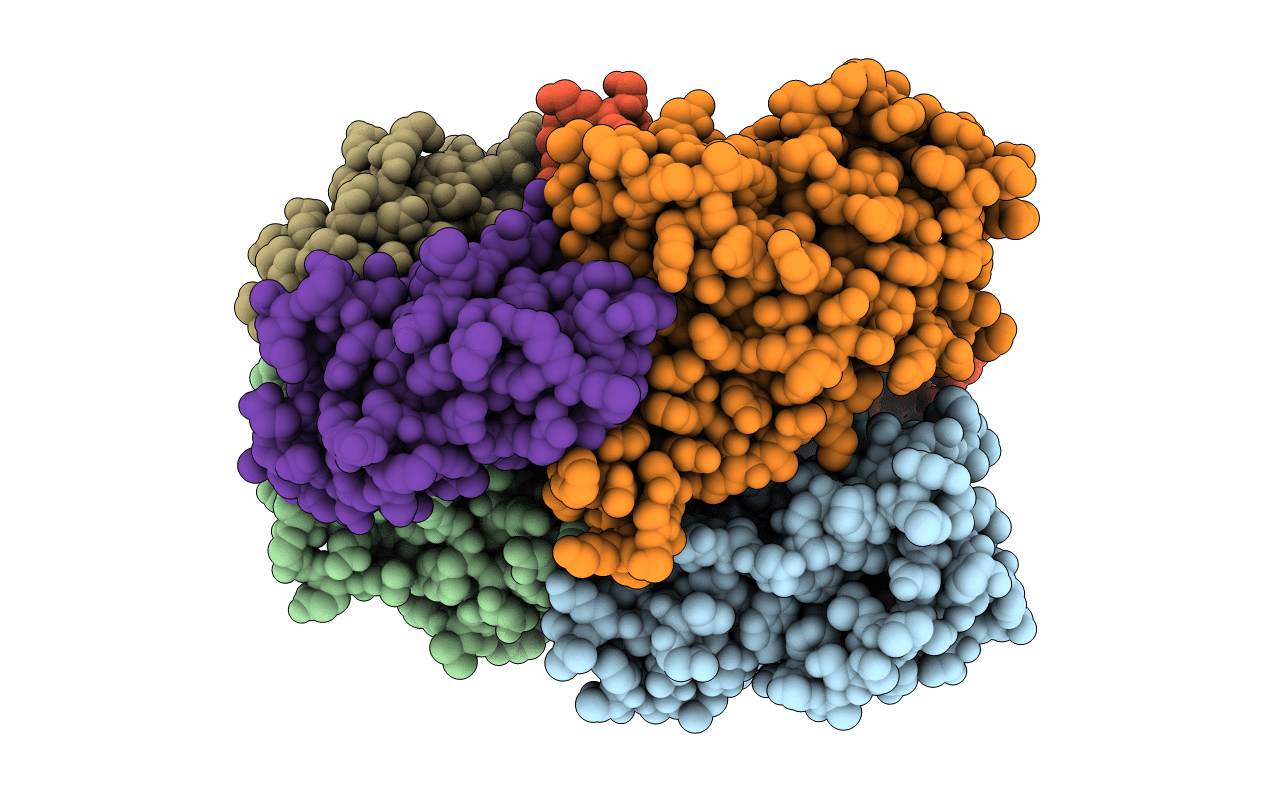 7X7D image