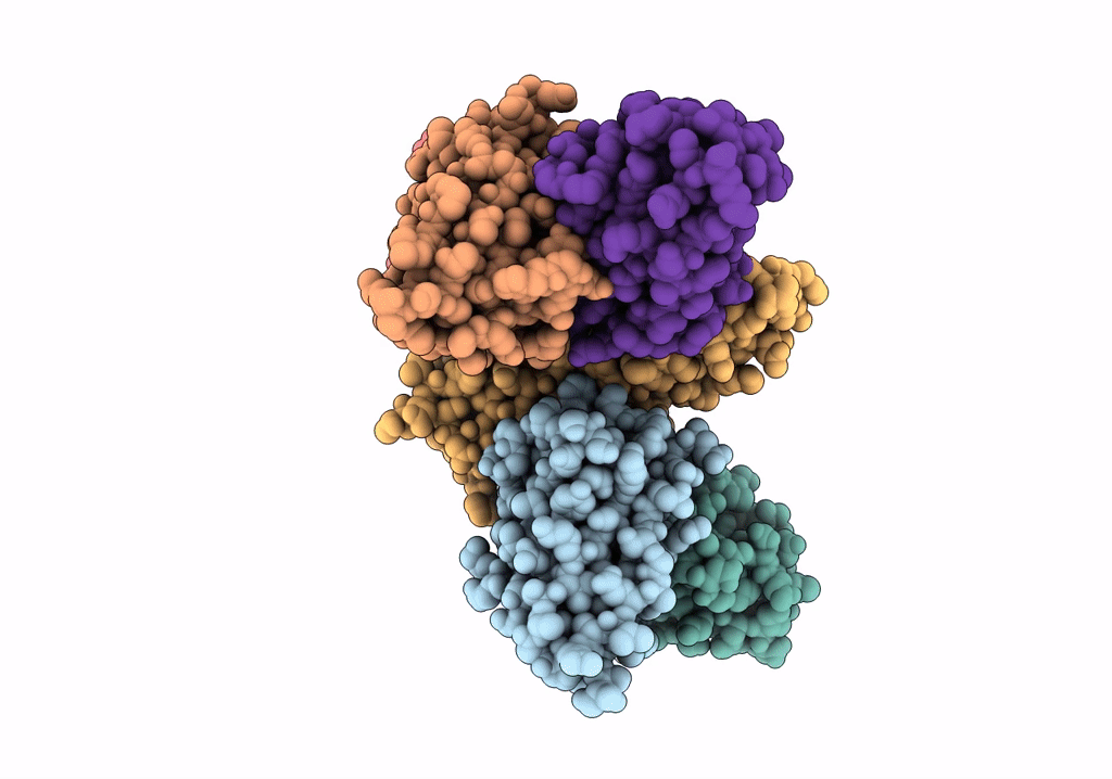 7X7T image