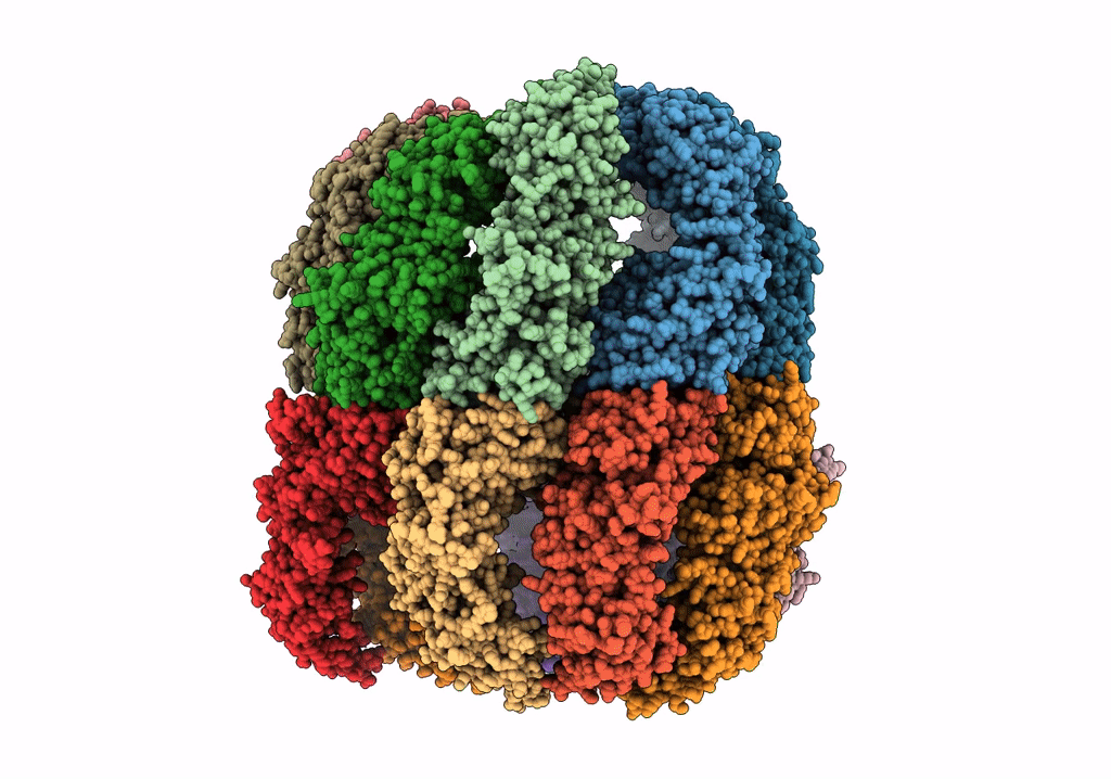 7X7Y image
