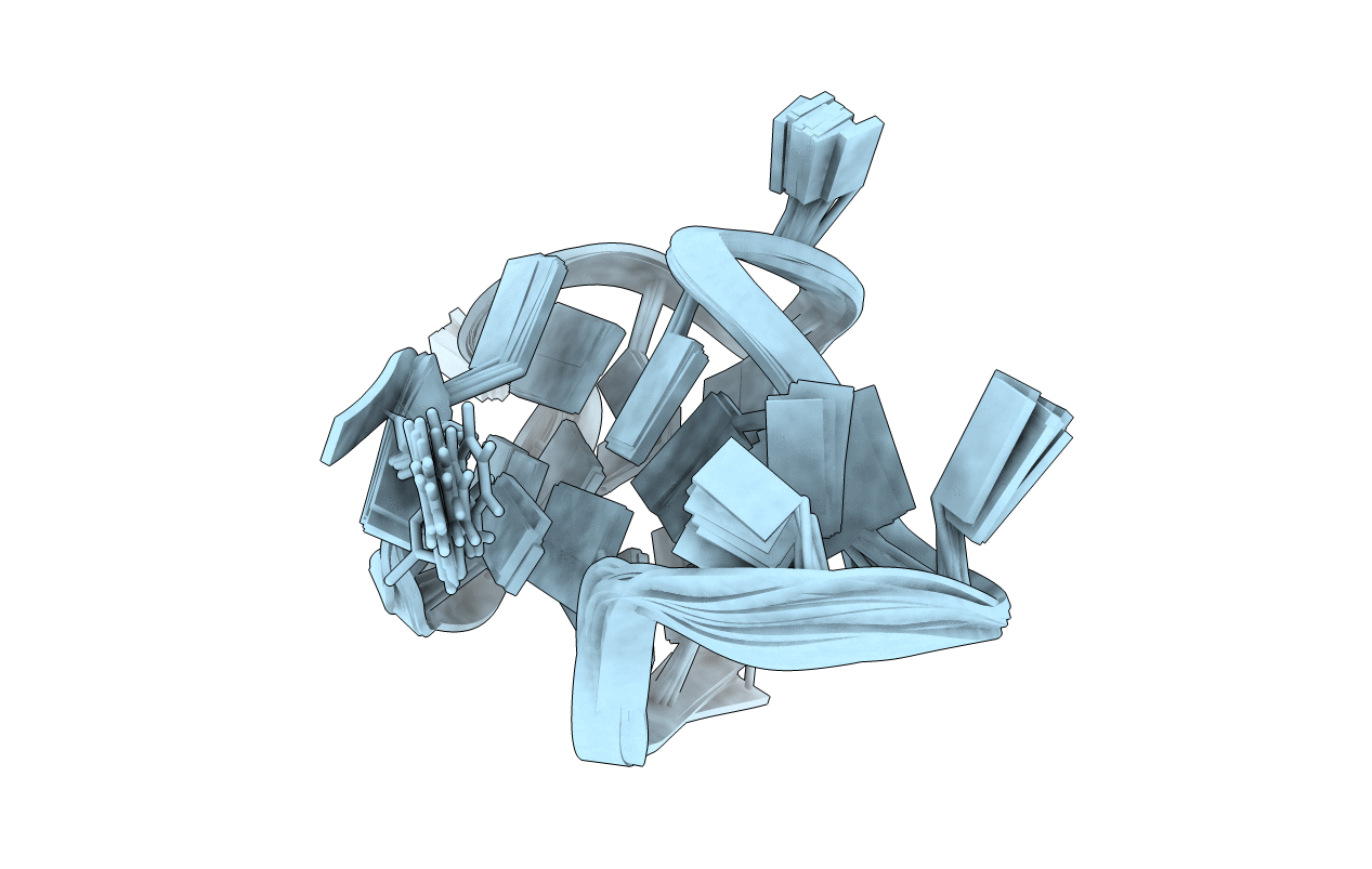 7X8N image