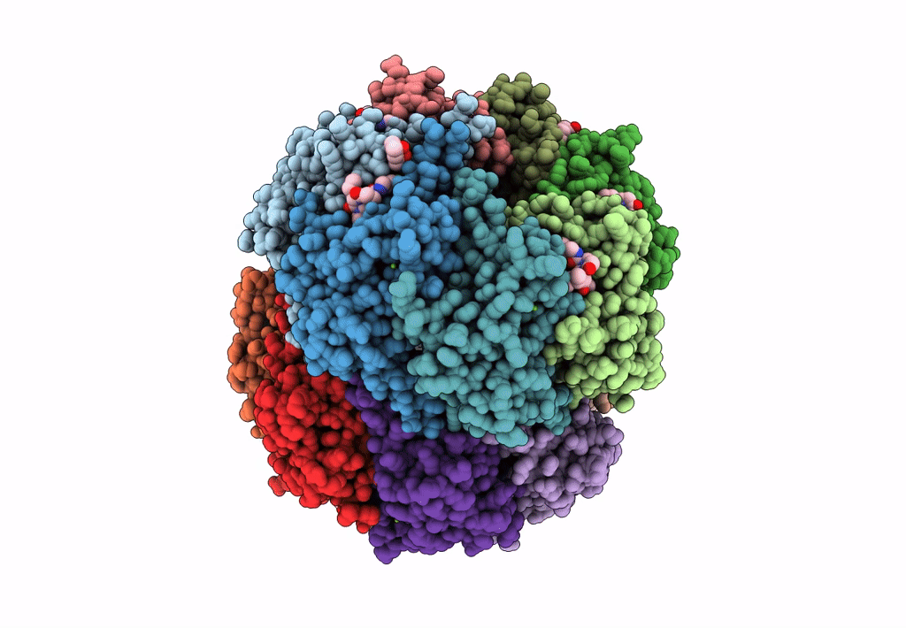 7XBZ image