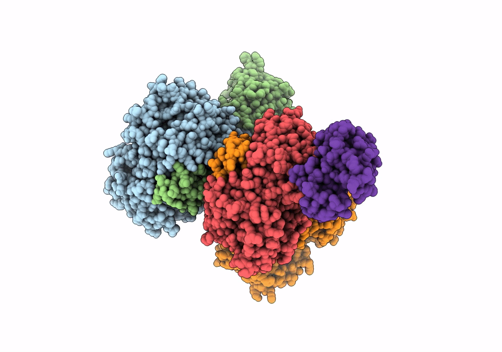 7XC6 image