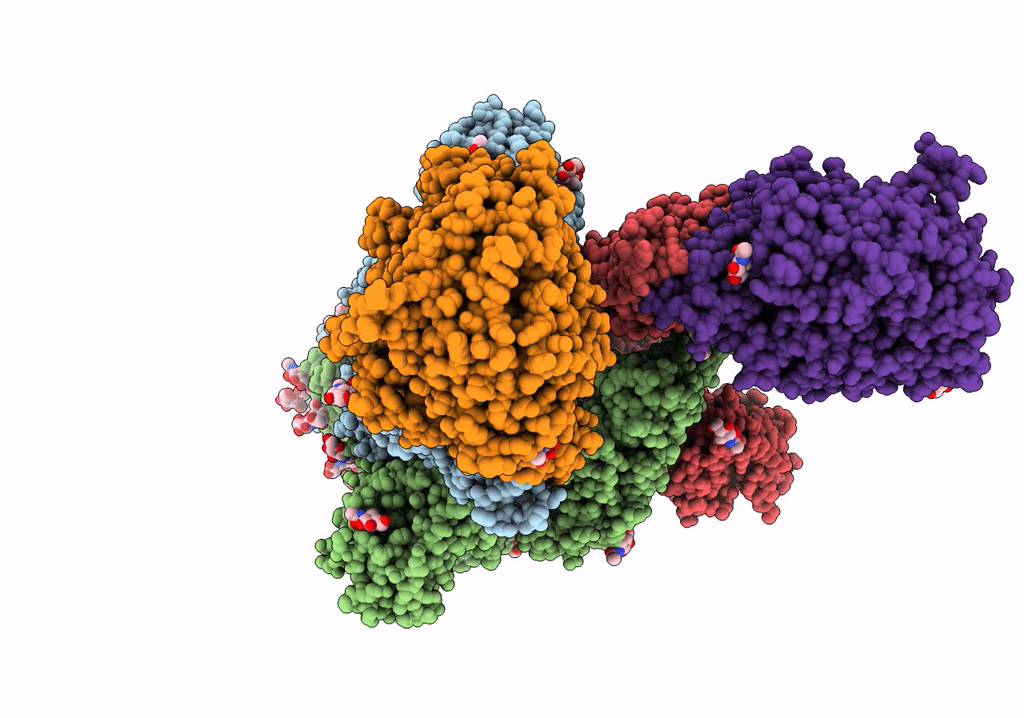 7XCH image