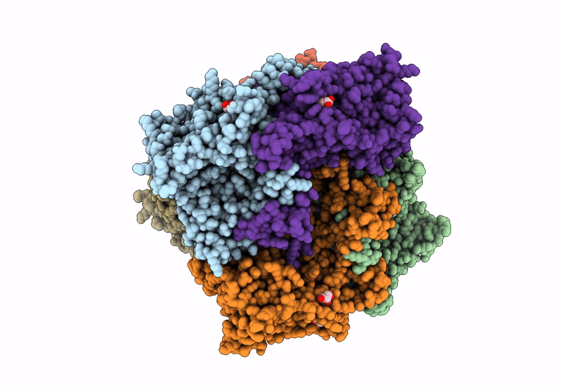 7XCL image