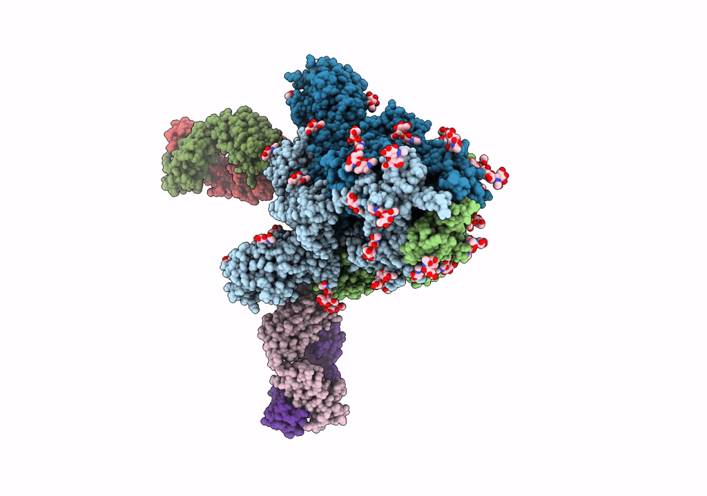 7XCO image