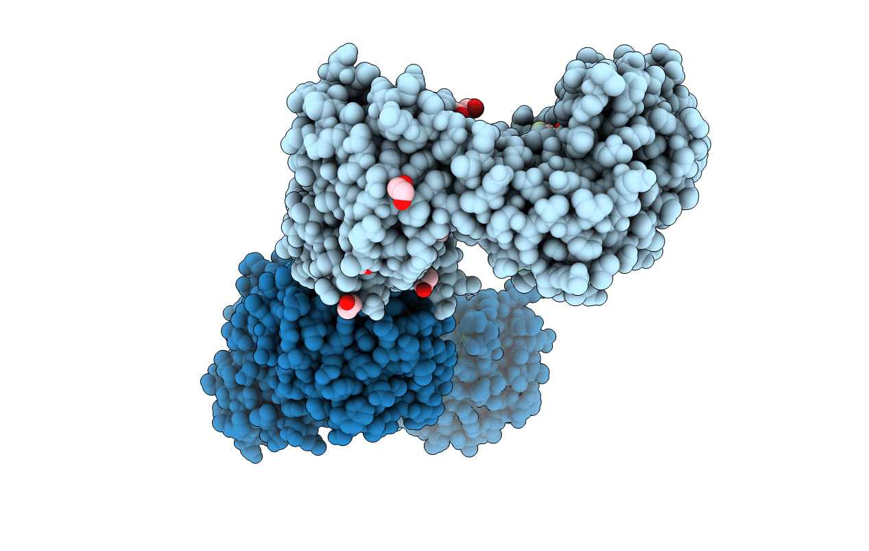 7XEB image