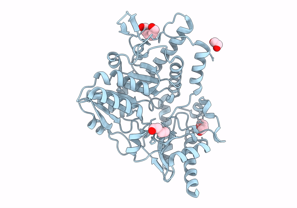 7XEL image
