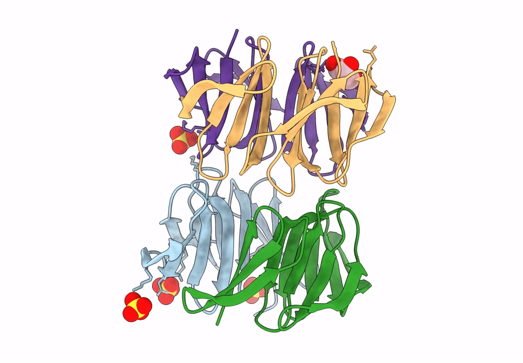 7XFP image