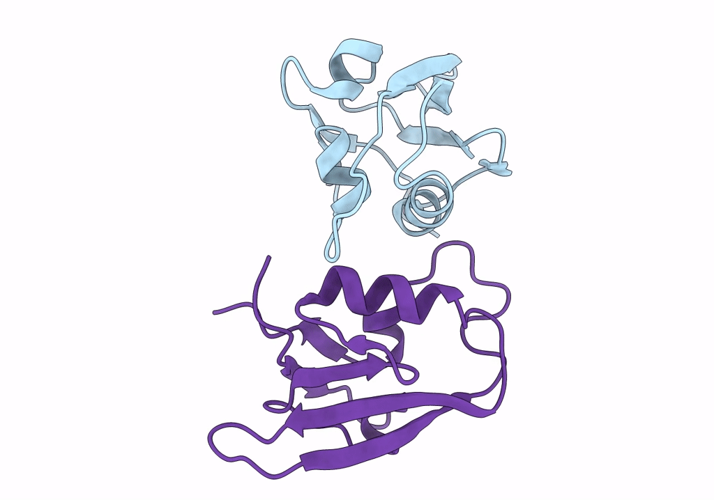 7XFS image
