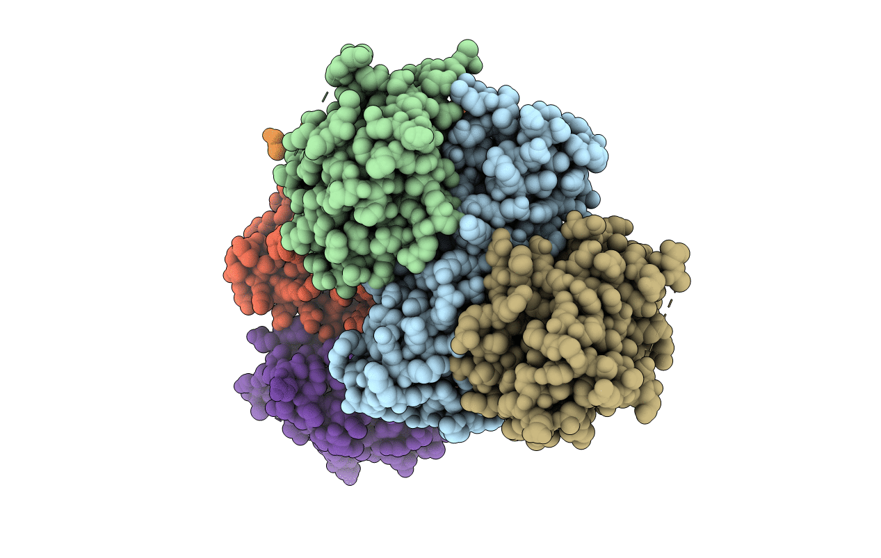 7XGF image