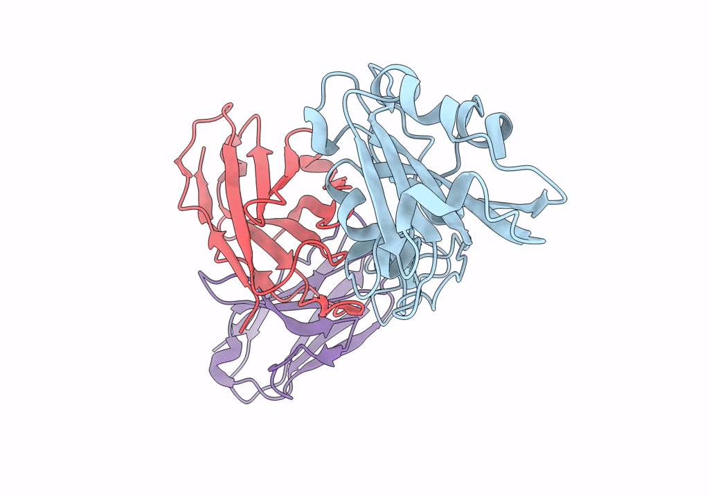 7XH8 image