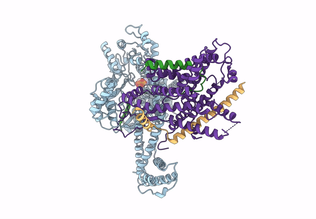 7XHB image