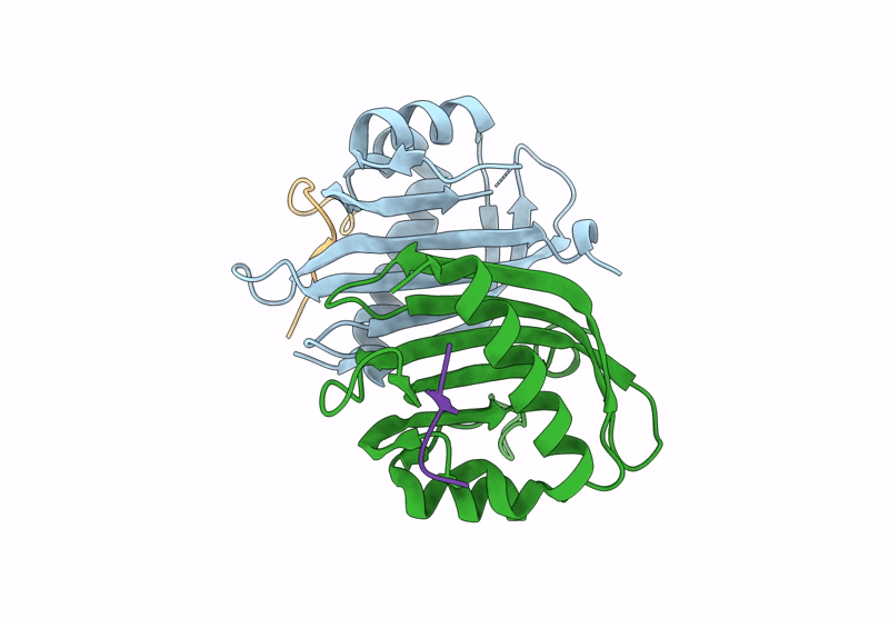 7XHF image