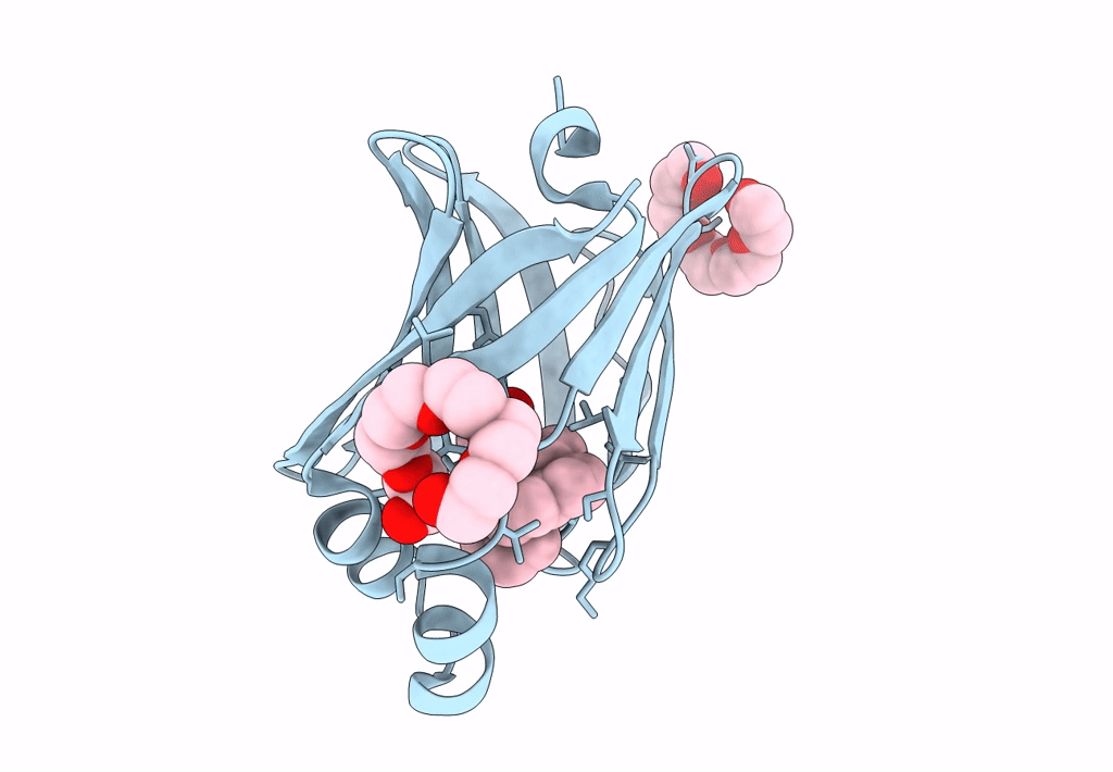7XHU image