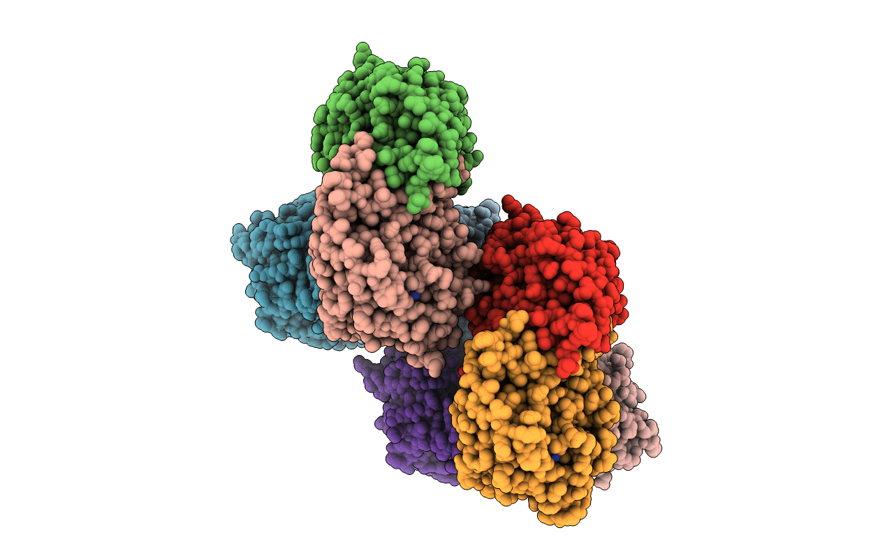 7XIG image