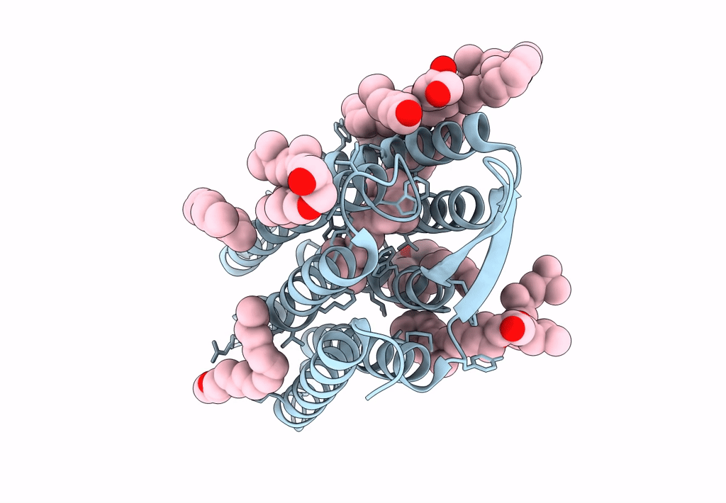 7XJE image