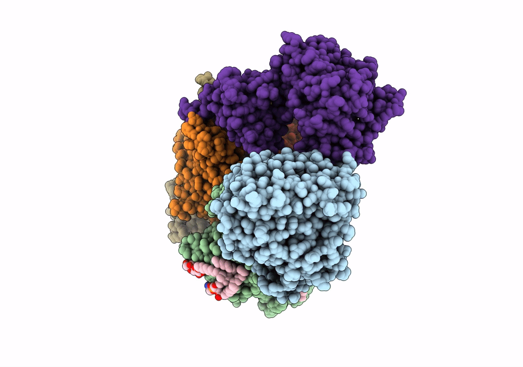 7XK4 image