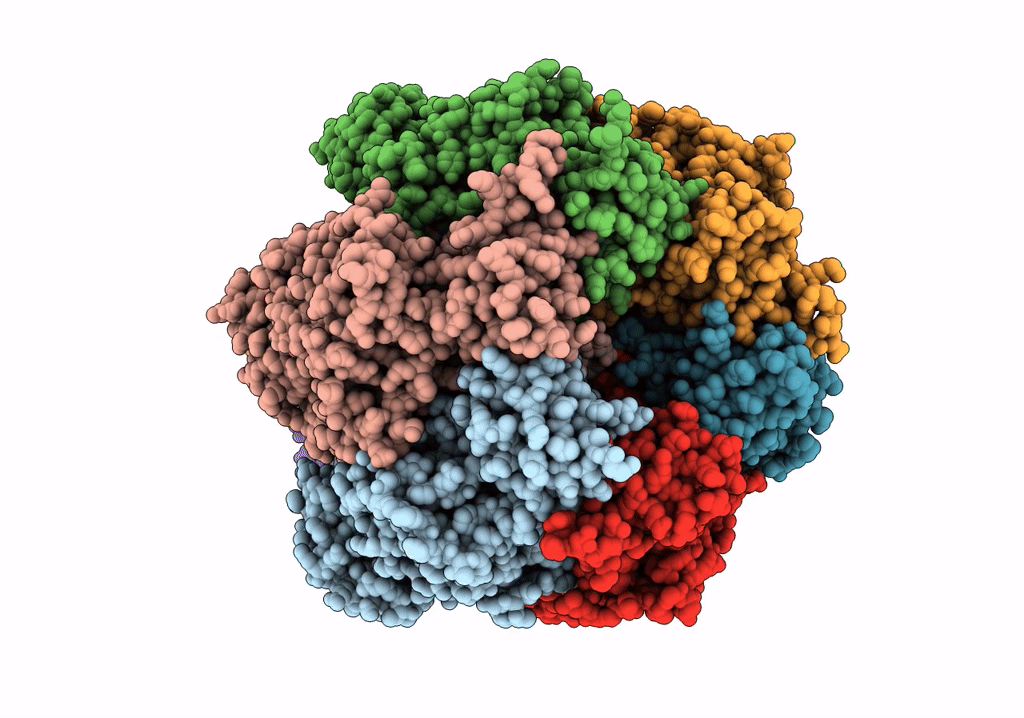 7XKH image
