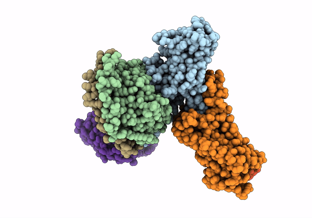 7XMS image