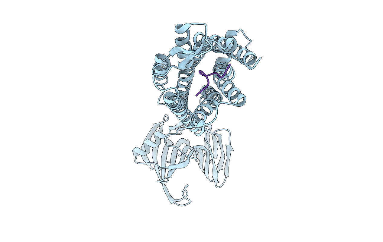 7XNA image