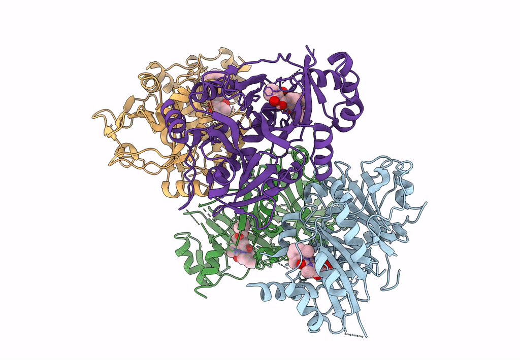 7XNT image