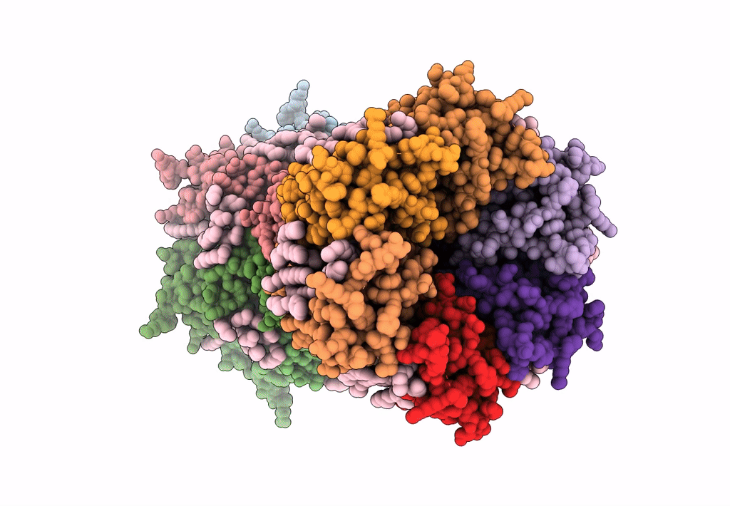 7XNV image