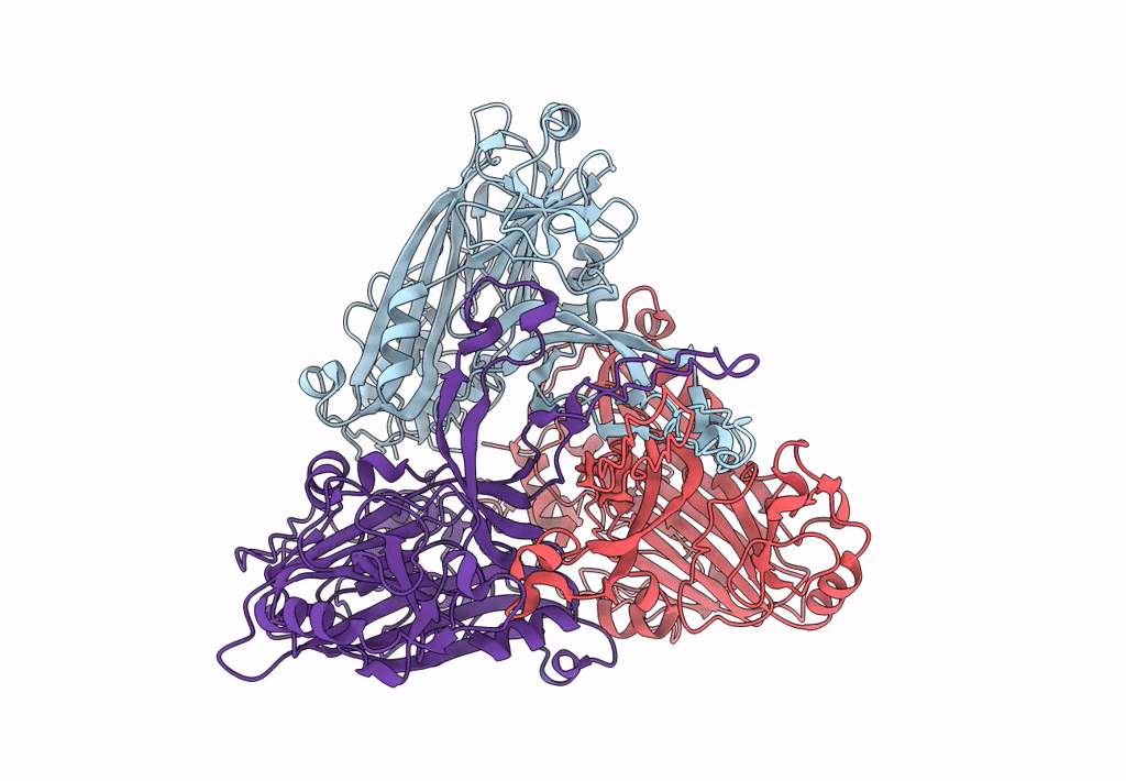 7XPD image