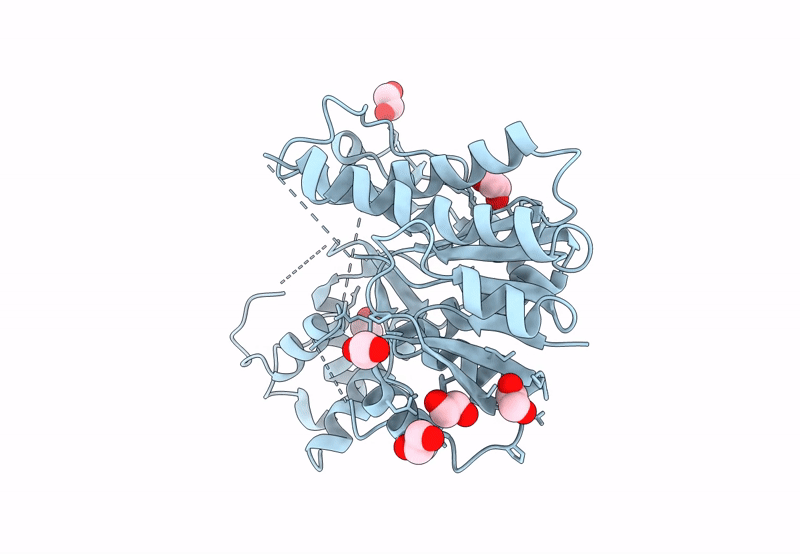 7XPM image