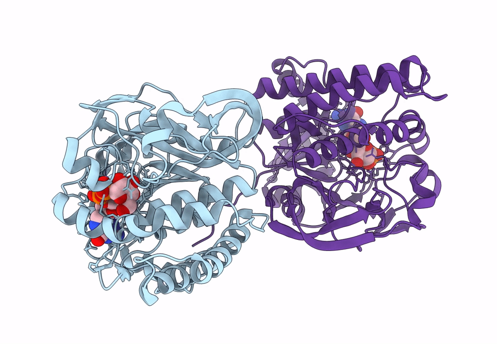 7XPT image