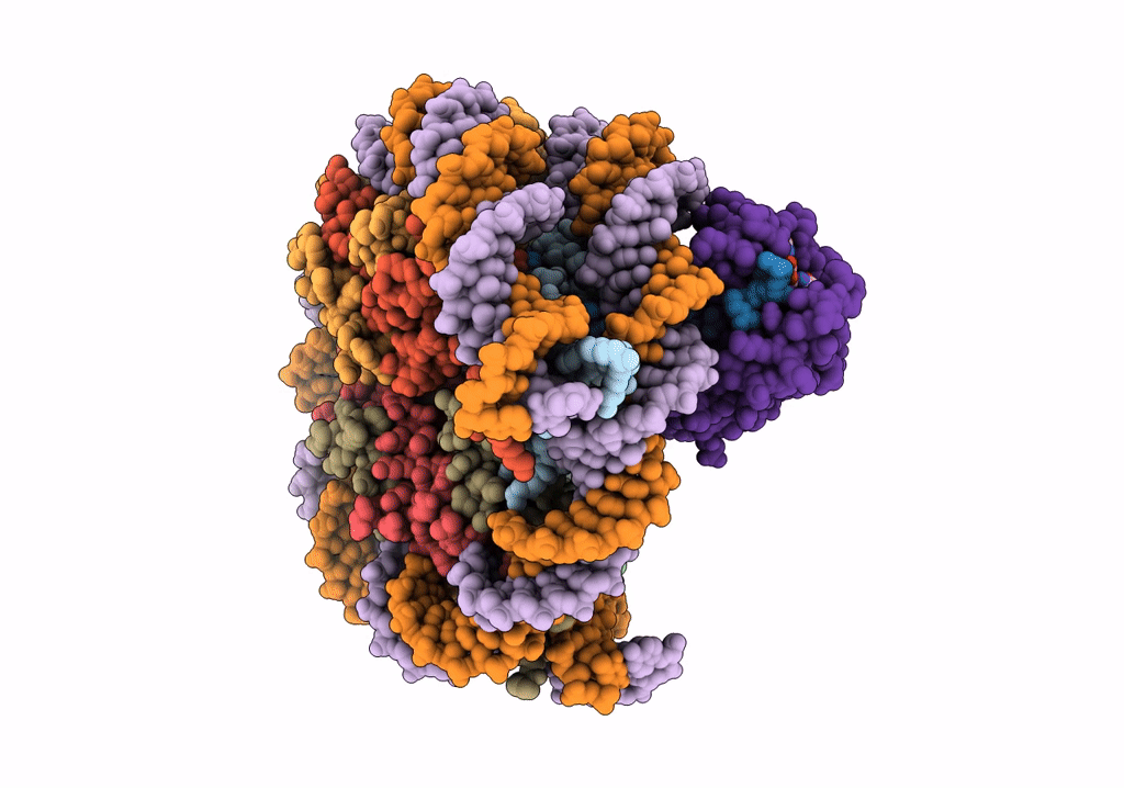 7XPX image