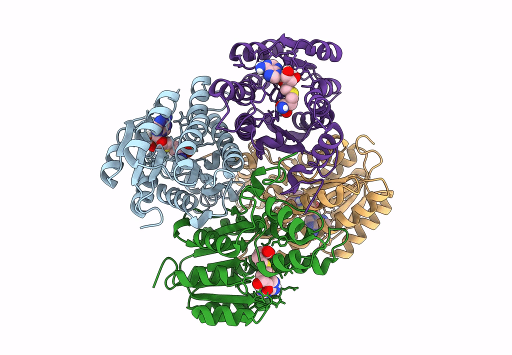 7XQM image