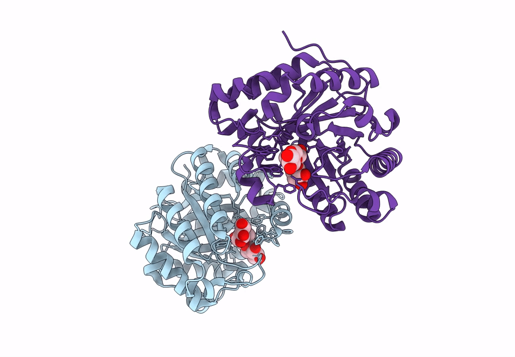 7XS3 image