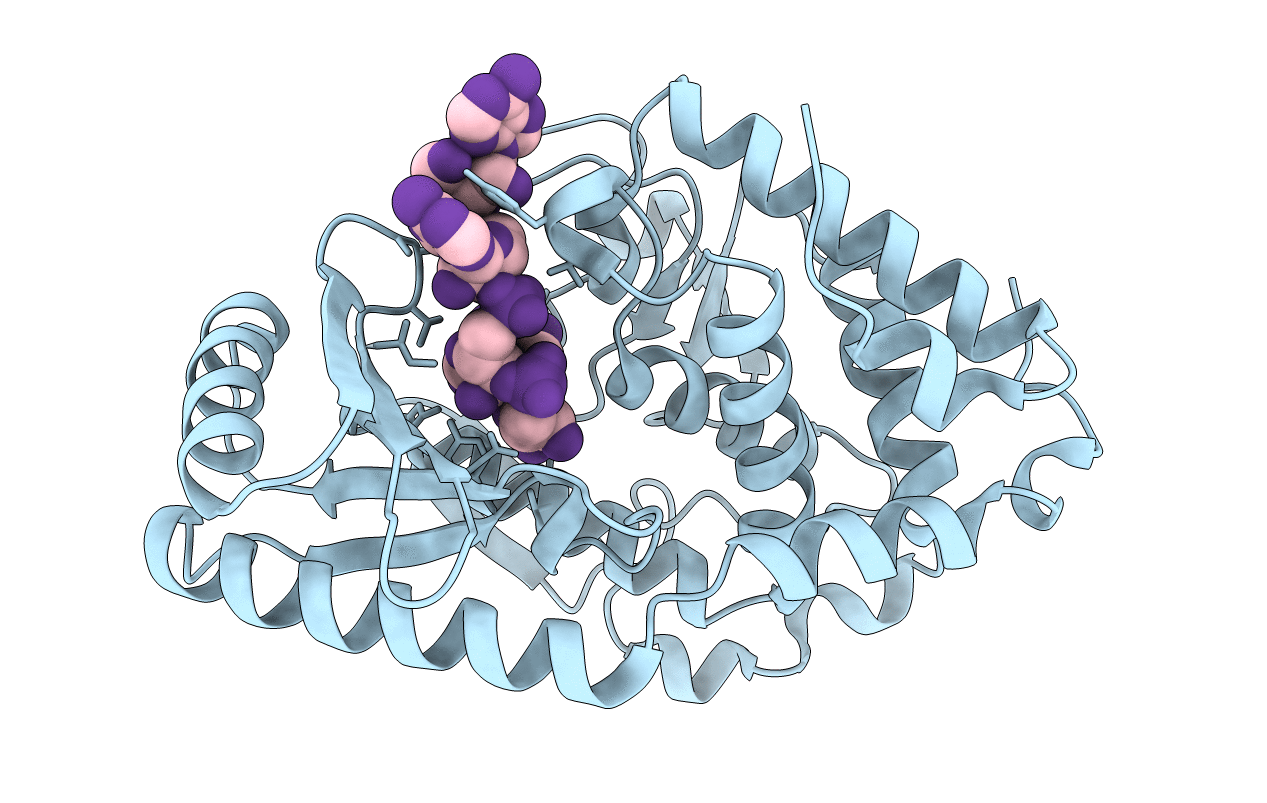 7XS4 image