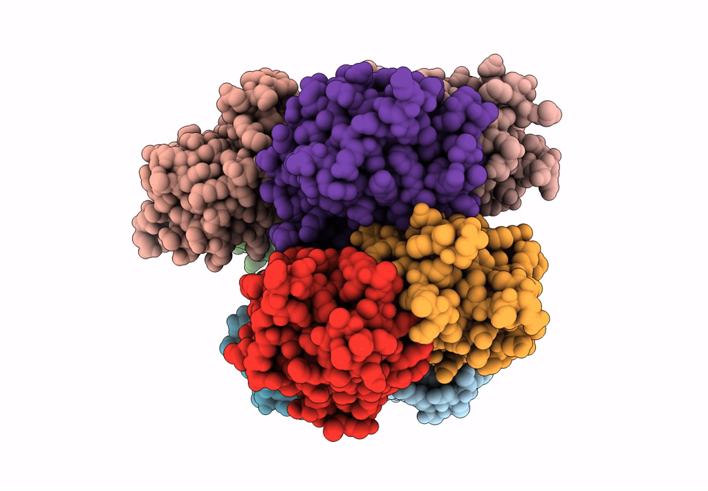 7XSI image