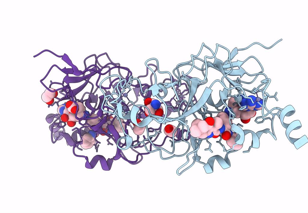 7XUD image
