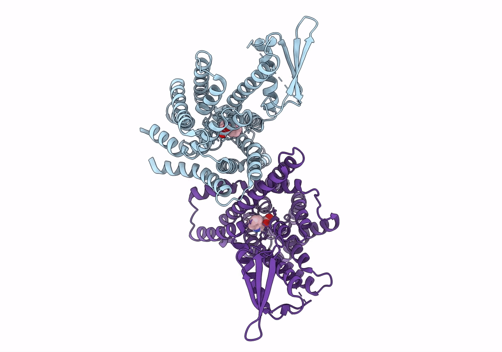 7XXB image