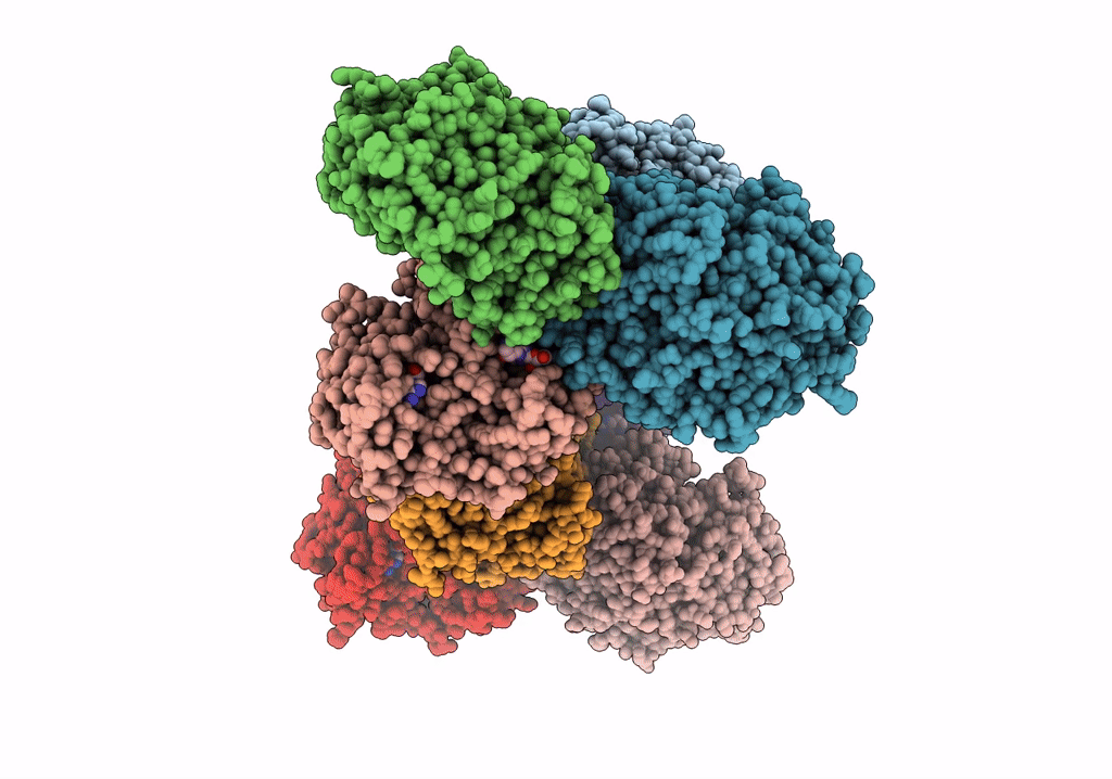 7XXR image