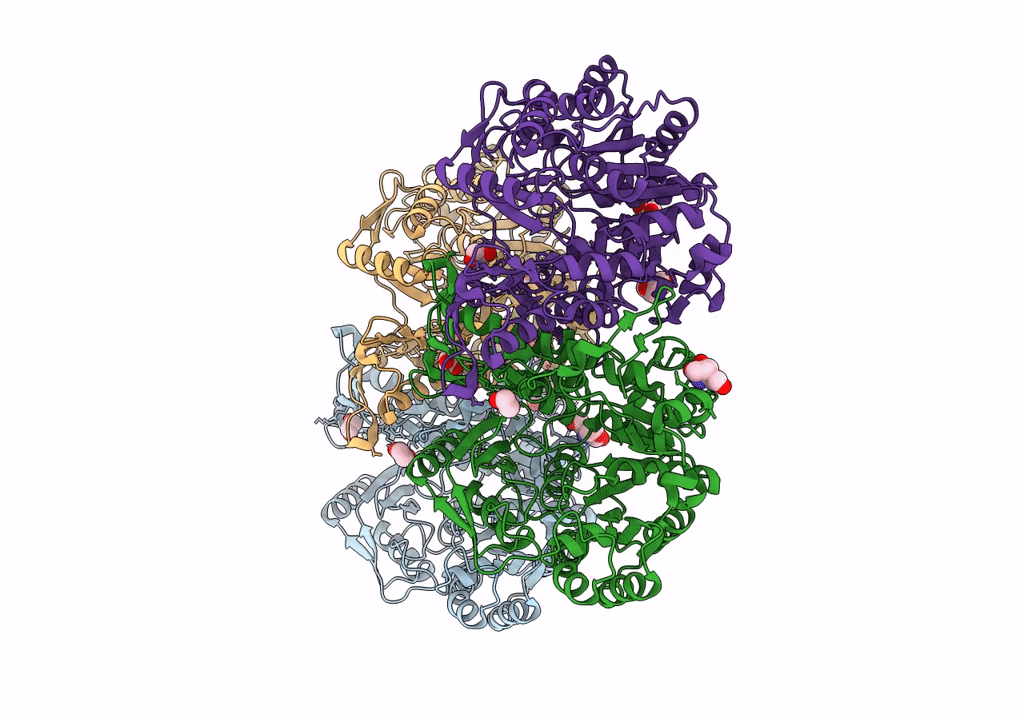 7XZN image