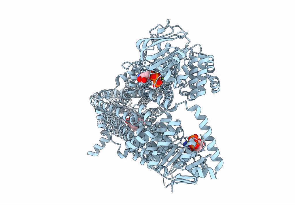 7Y1J image
