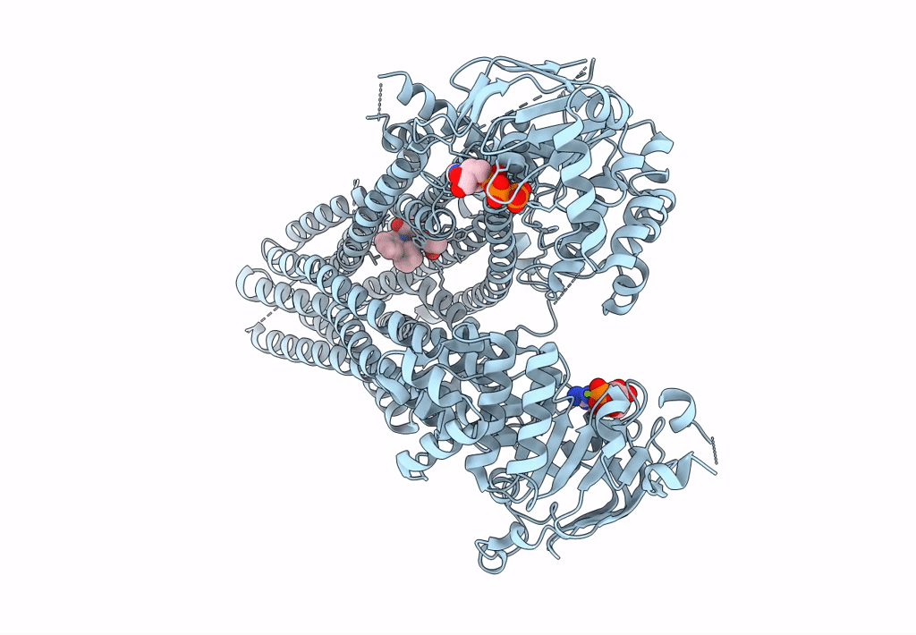 7Y1M image