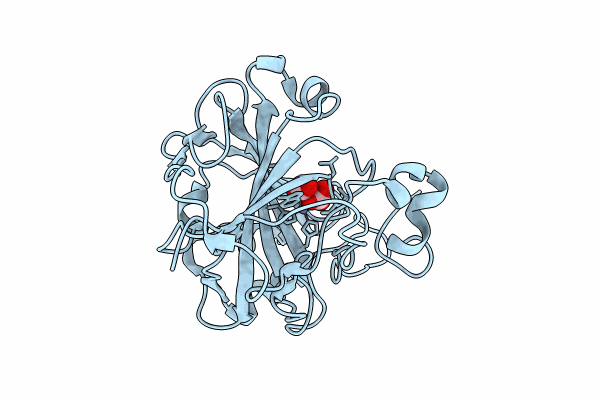 7Y2H image